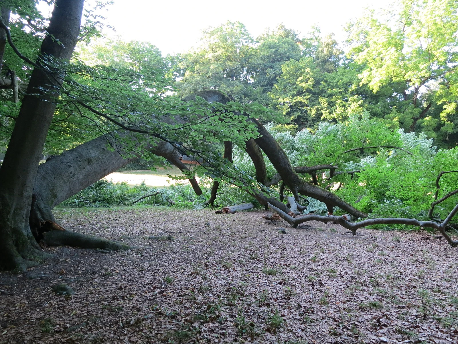  — © Gartenamt Stadt Regensburg