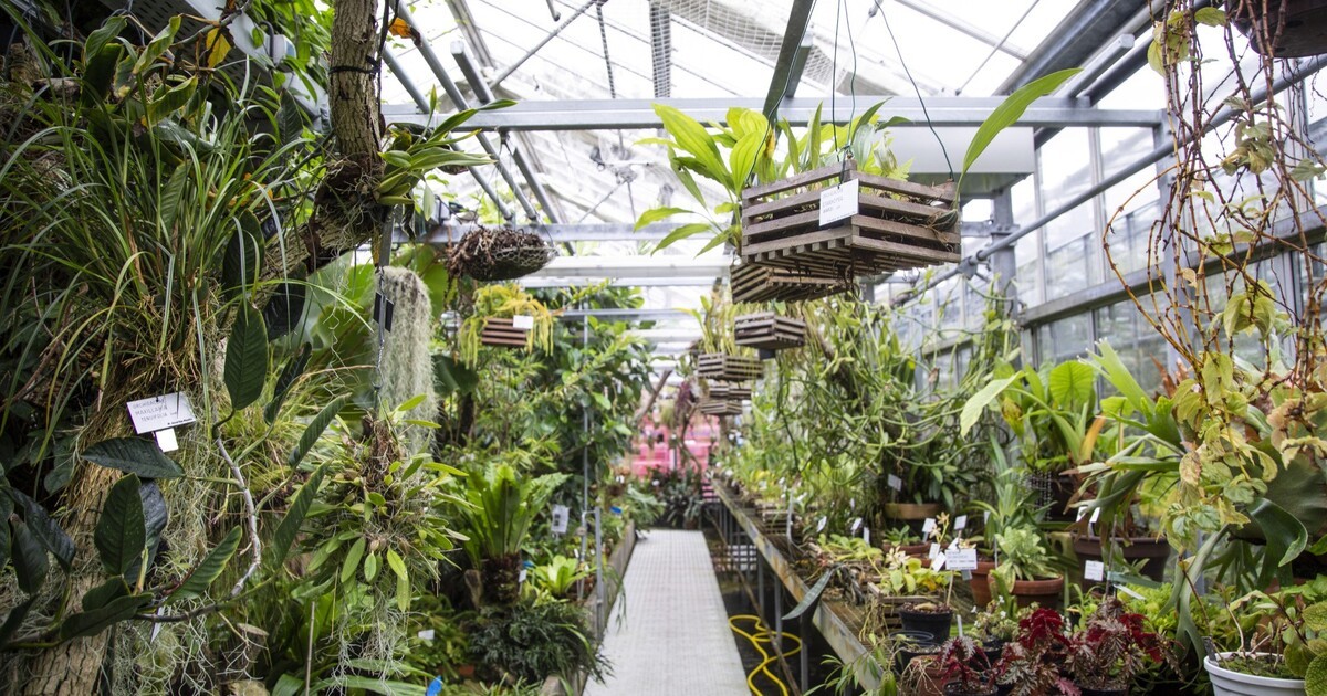 Regensburg: Botanischer Garten wieder geöffnet