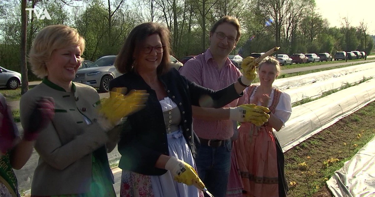 Auftakt Spargelsaison und Chorprobe „MarCanto“: Mein Landkreis Kelheim vom 11. April 2024