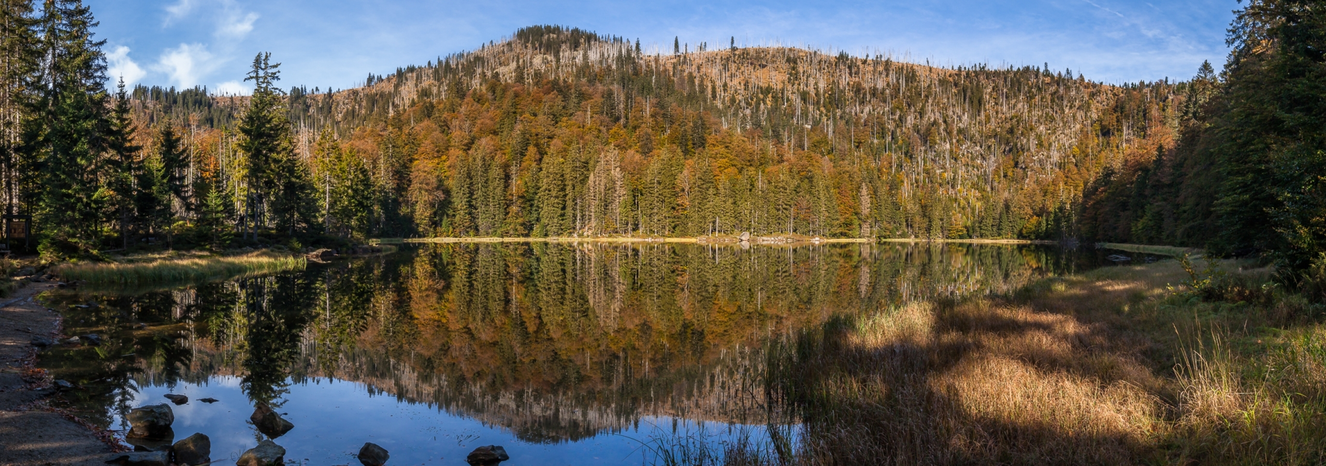 — © Rainer Simonis/Nationalpark Bayerischer Wald