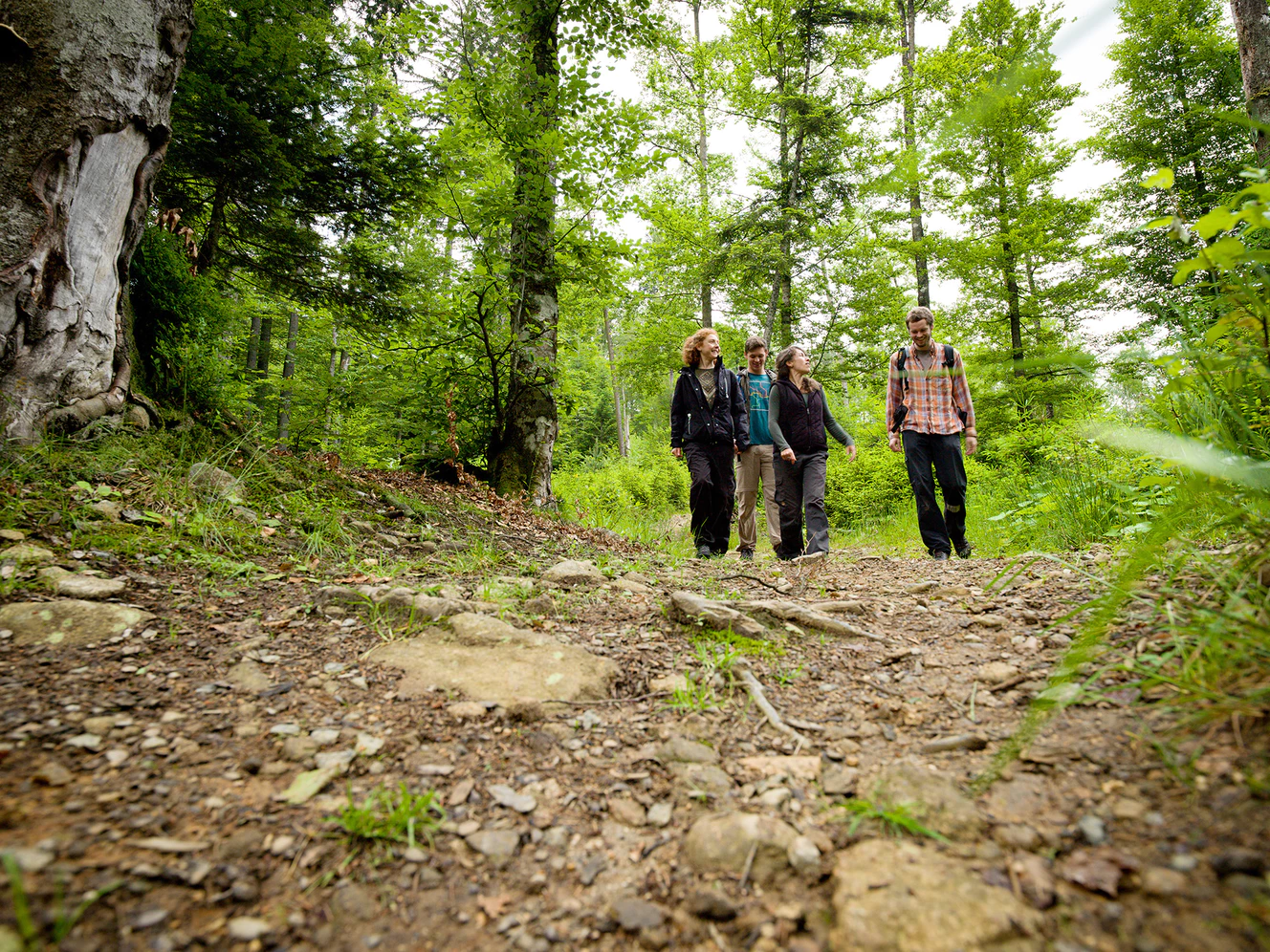 — © Nationalpark Bayerischer Wald