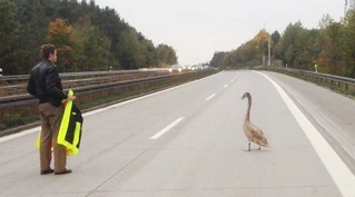 — © Polizei Weiden