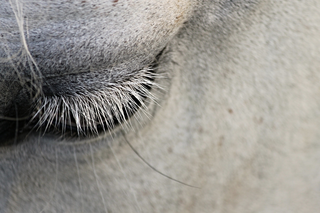 — © Symbolbild / Quelle: Pixabay