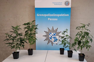 — © GPI Passau