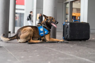 — © Bundespolizei