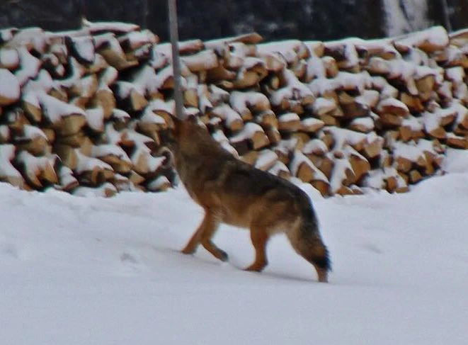 — © Privat/ LfU Bayern