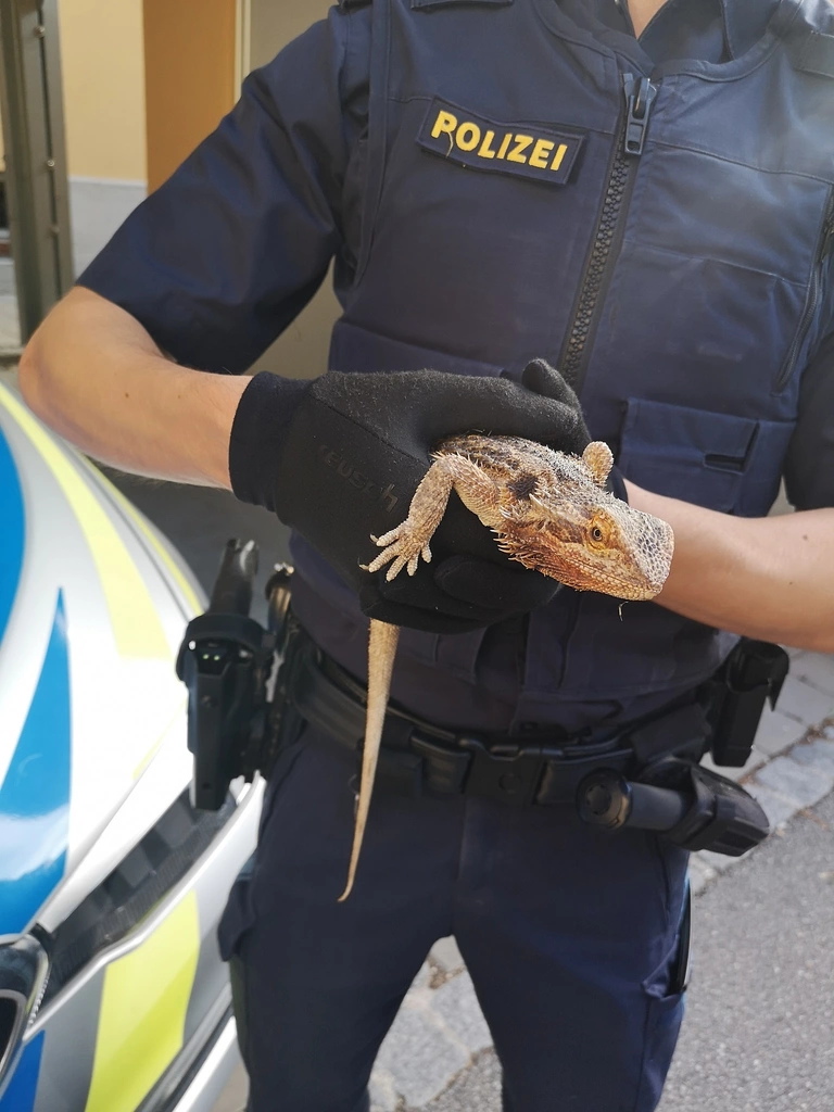 — © PI Regensburg Süd
