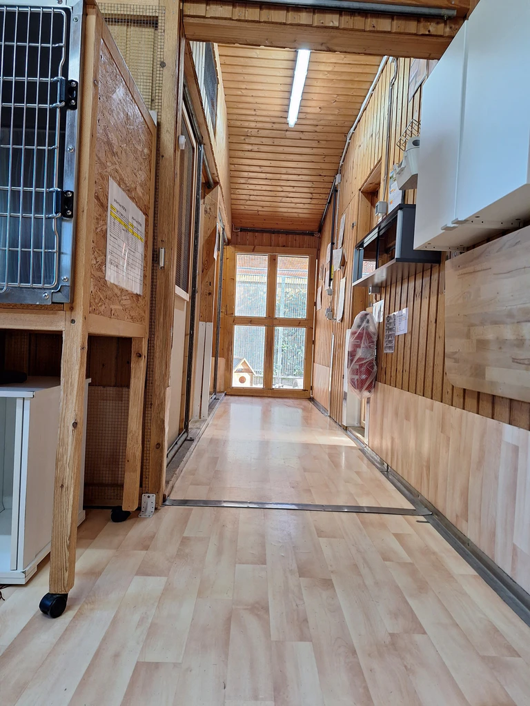 — © Katzenhaus Abensberg