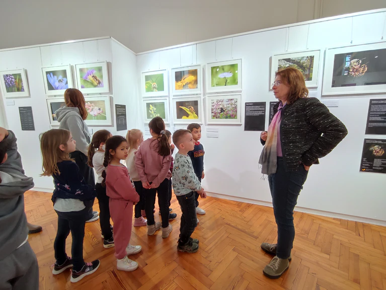  — © Frau Sophia Dürmayer und Frau Elena Oprescu
