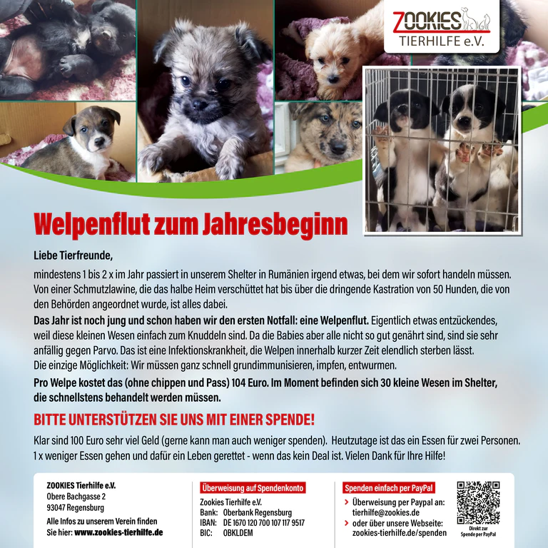 — © ZOOKIES Tierhilfe e.V.