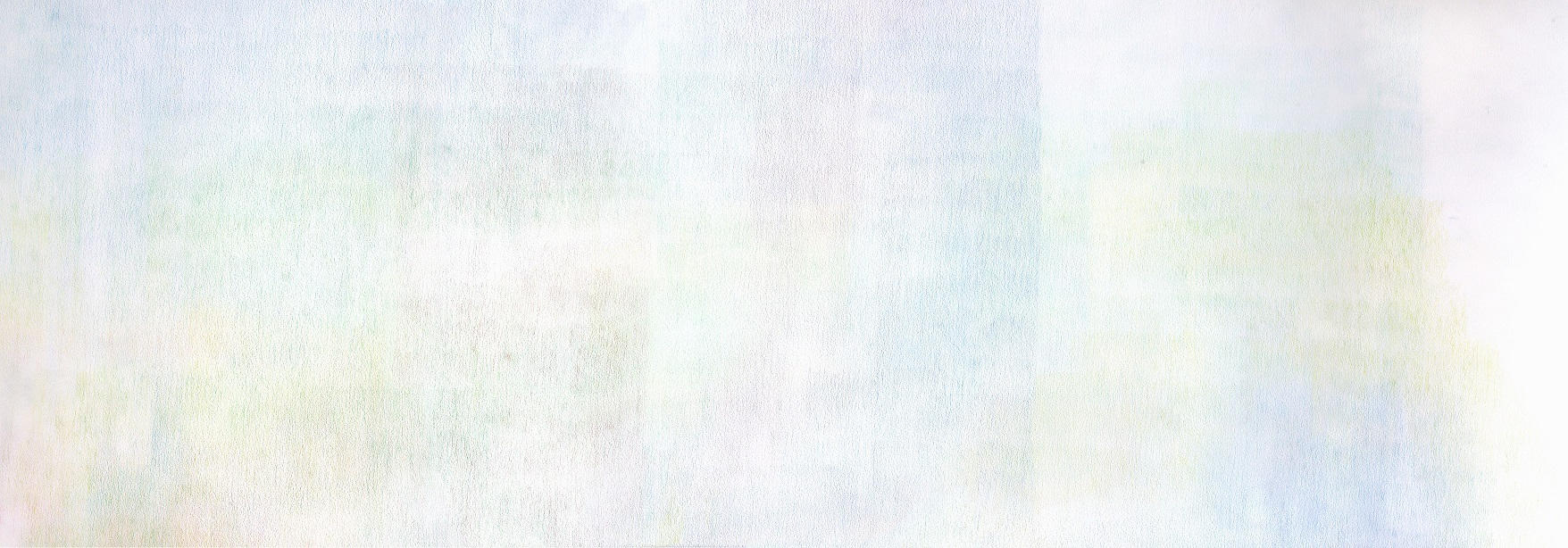 © Erika Wakayama